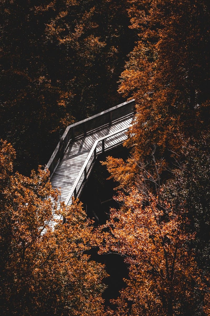 Mindful Hiking Trips